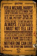 Harry Potter Quotes 61 x 91 cm Juliste (27)