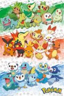 Pokemon First Partners 61 x 91cm Juliste (66)