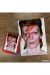 David Bowie Aladdin Sane Palapeli, 500 palaa