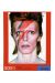 David Bowie Aladdin Sane Palapeli, 500 palaa