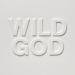 Cave, Nick : Wild God CD