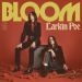 Larkin Poe : Bloom CD