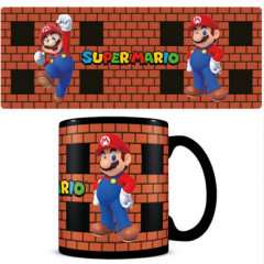 Super Mario Bricks Heat Change muki